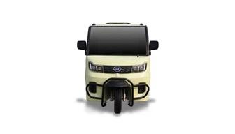 Feithicil Leictreach Pickup